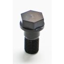 HD Sechskantschraube Schwungrad (Satz)