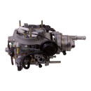 Vergaser DG Motor 1,9l WBX