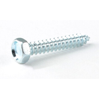 Sechskant-Blechschraube 4,2 x 25 verzinkt