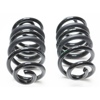 Schraubenfedern (Satz) hinten Syncro