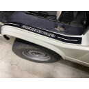 Folienschriftzug Einstieg vorne Familienmitglied matt