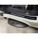 Folienschriftzug Einstieg vorne Familienmitglied glanz