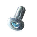 T&uuml;rscharnierschraube