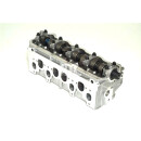 Zylinderkopf komplett 1,9 TDI -1Z, AFN, ALE