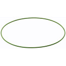 Dichtring grün Zylinderkopfseite