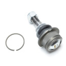 Radgelenk unten links oder rechts ab 79