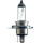 Glühlampe 12V 55/60 W -H4-