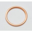 Dichtring Ansaugrohr auf Zylinderkopf 22 - 25 kW (30-34...